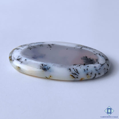 Dendritic Opal