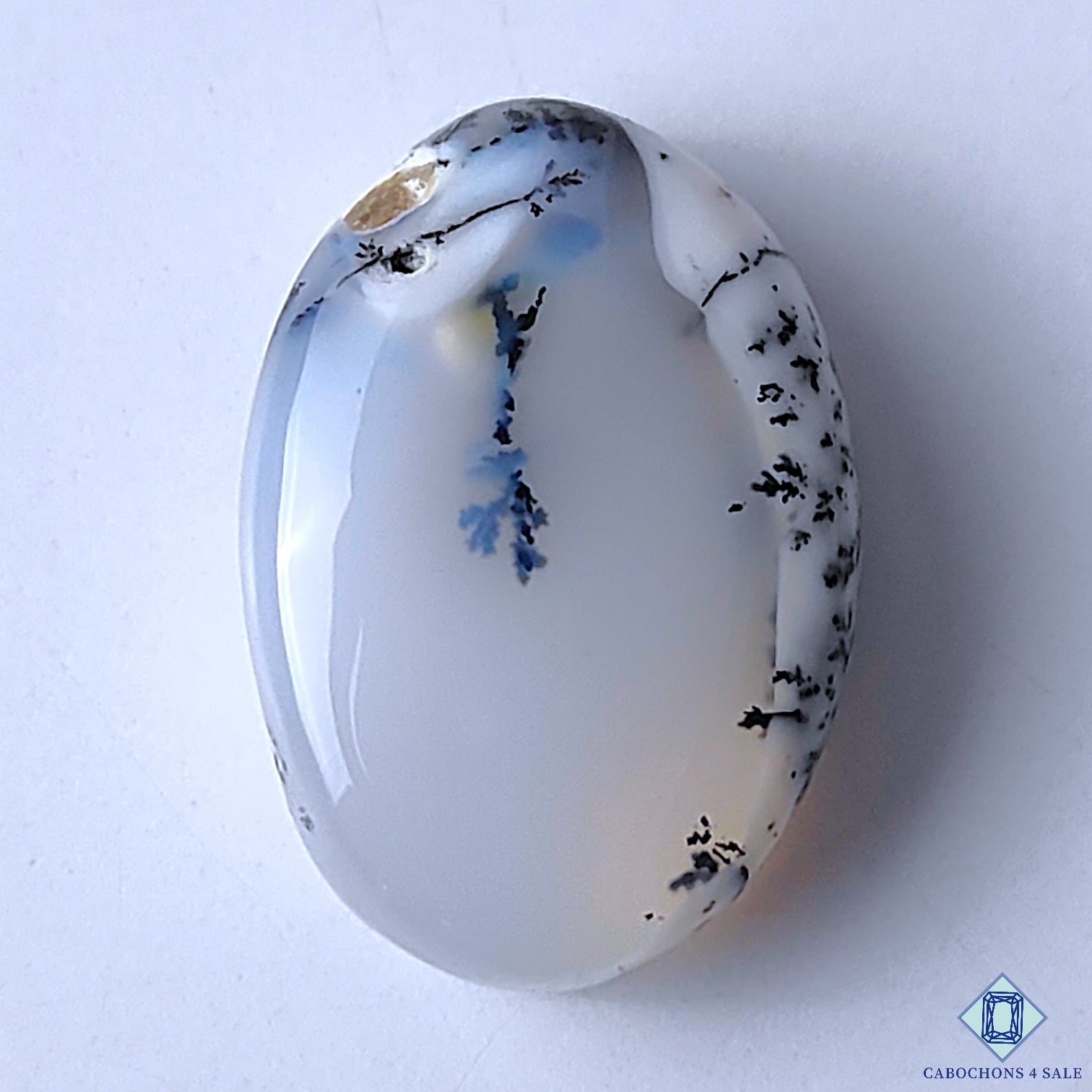 Dendritic Opal
