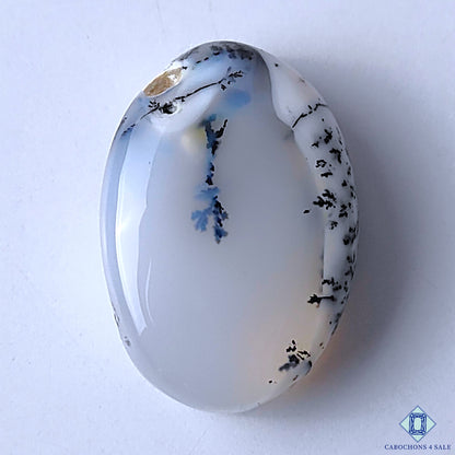 Dendritic Opal