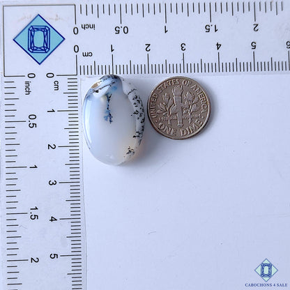 Dendritic Opal