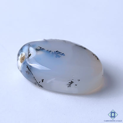 Dendritic Opal