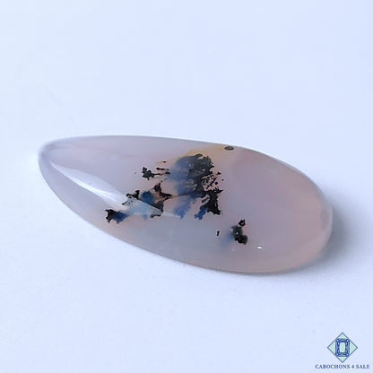 Dendritic Opal