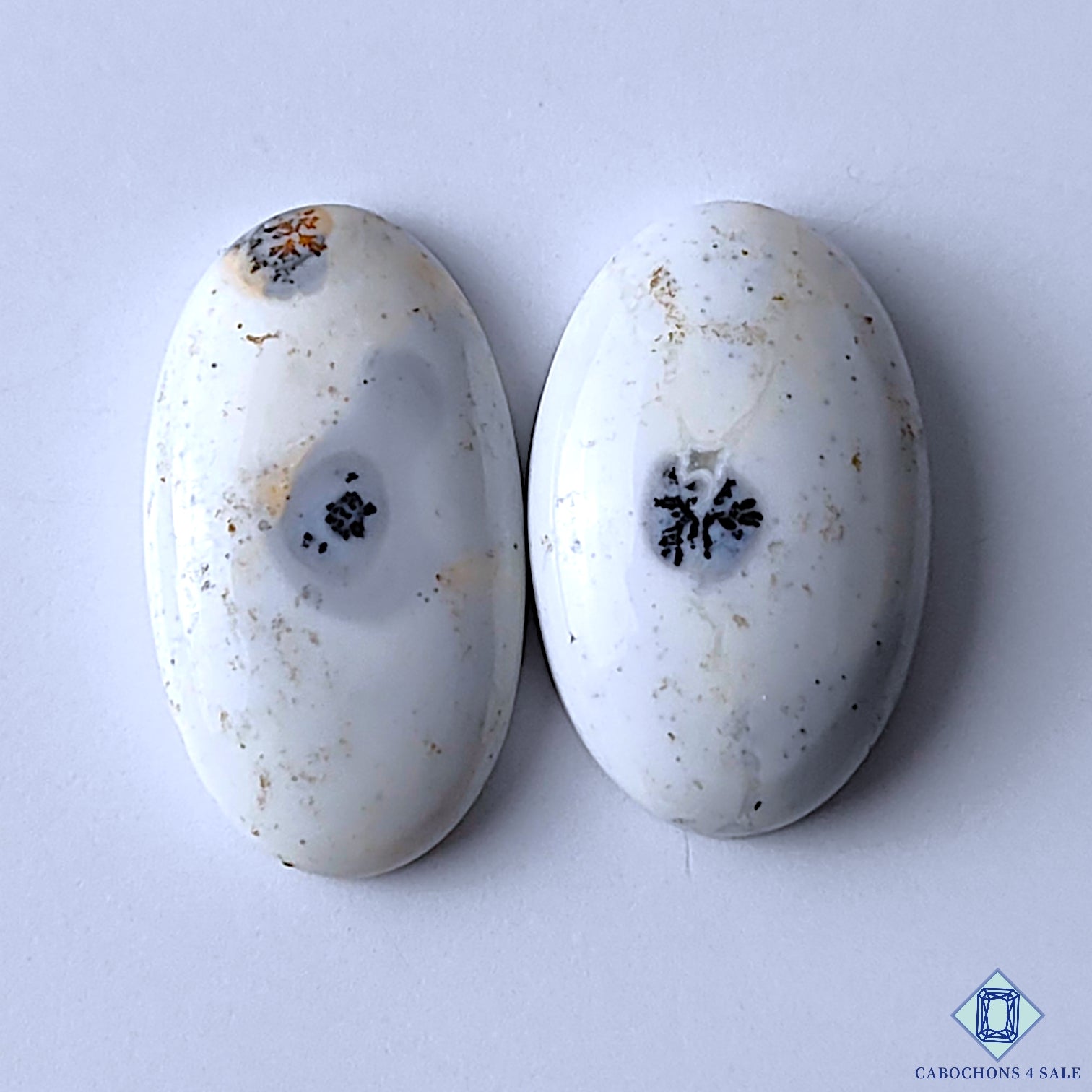 Dendritic Opal