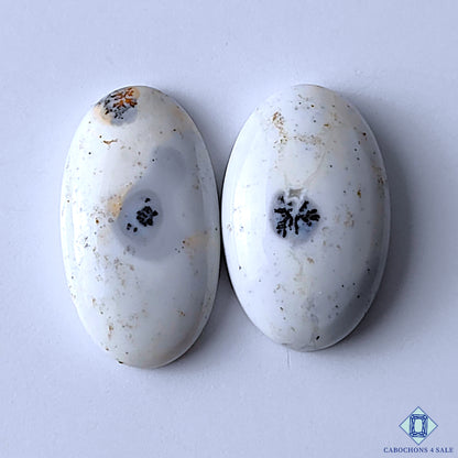 Dendritic Opal