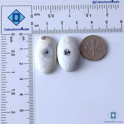 Dendritic Opal