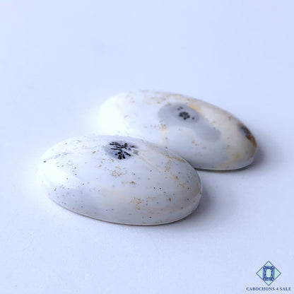 Dendritic Opal