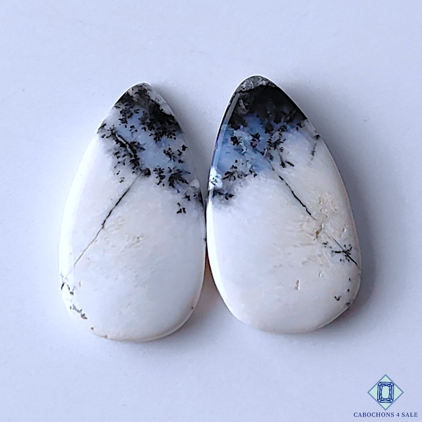 Dendritic Opal