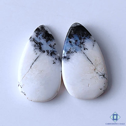 Dendritic Opal