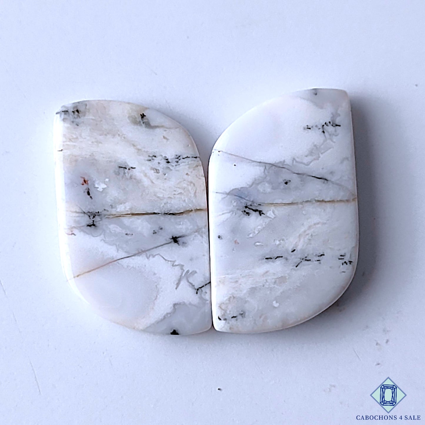 Dendritic Opal