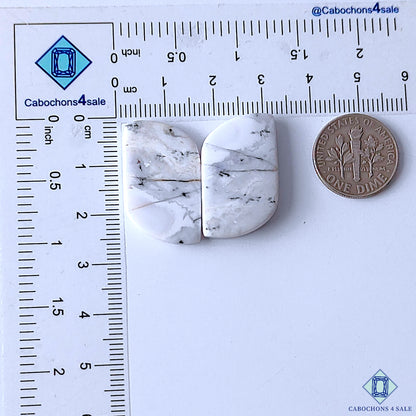 Dendritic Opal