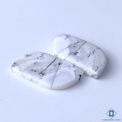 Dendritic Opal