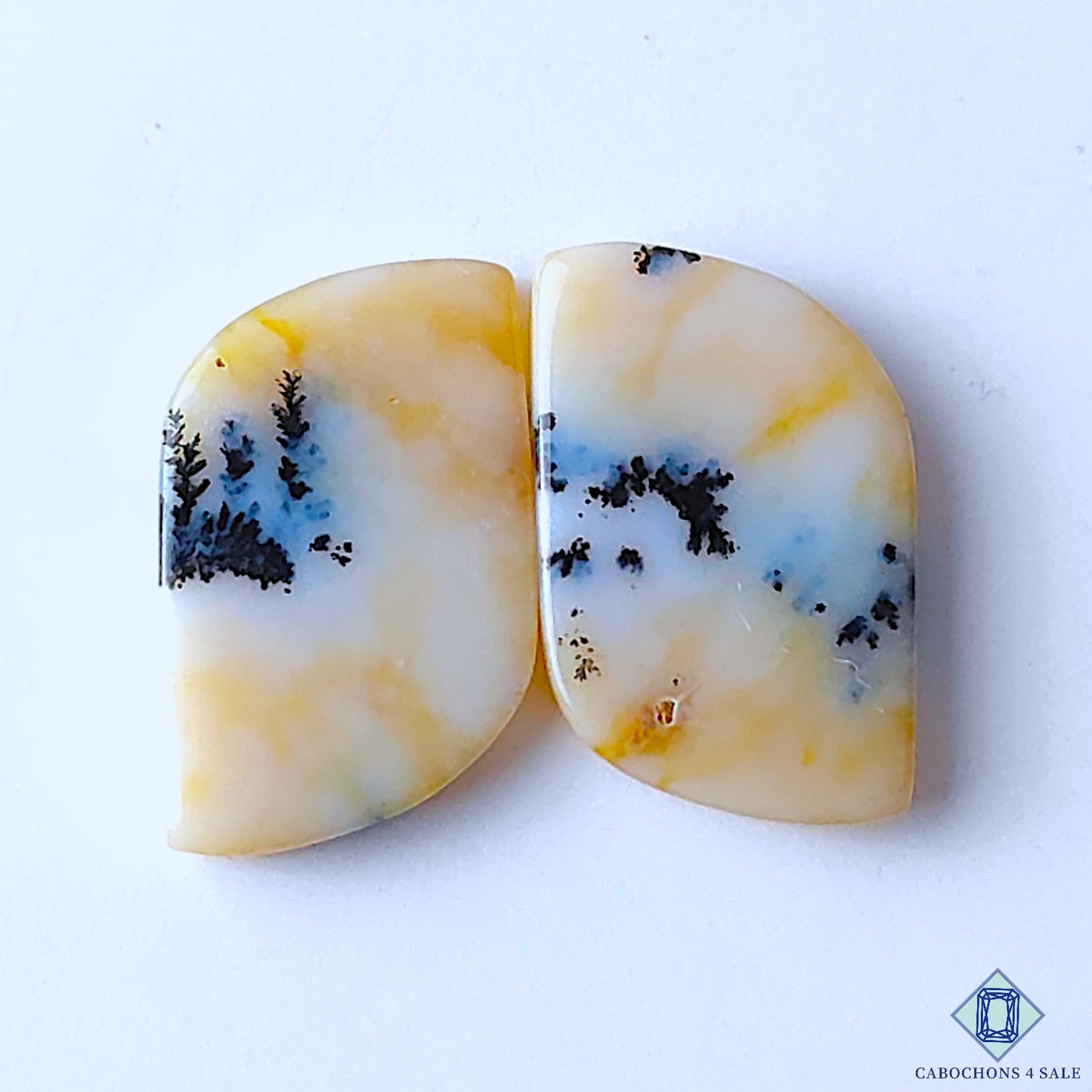 Dendritic Opal