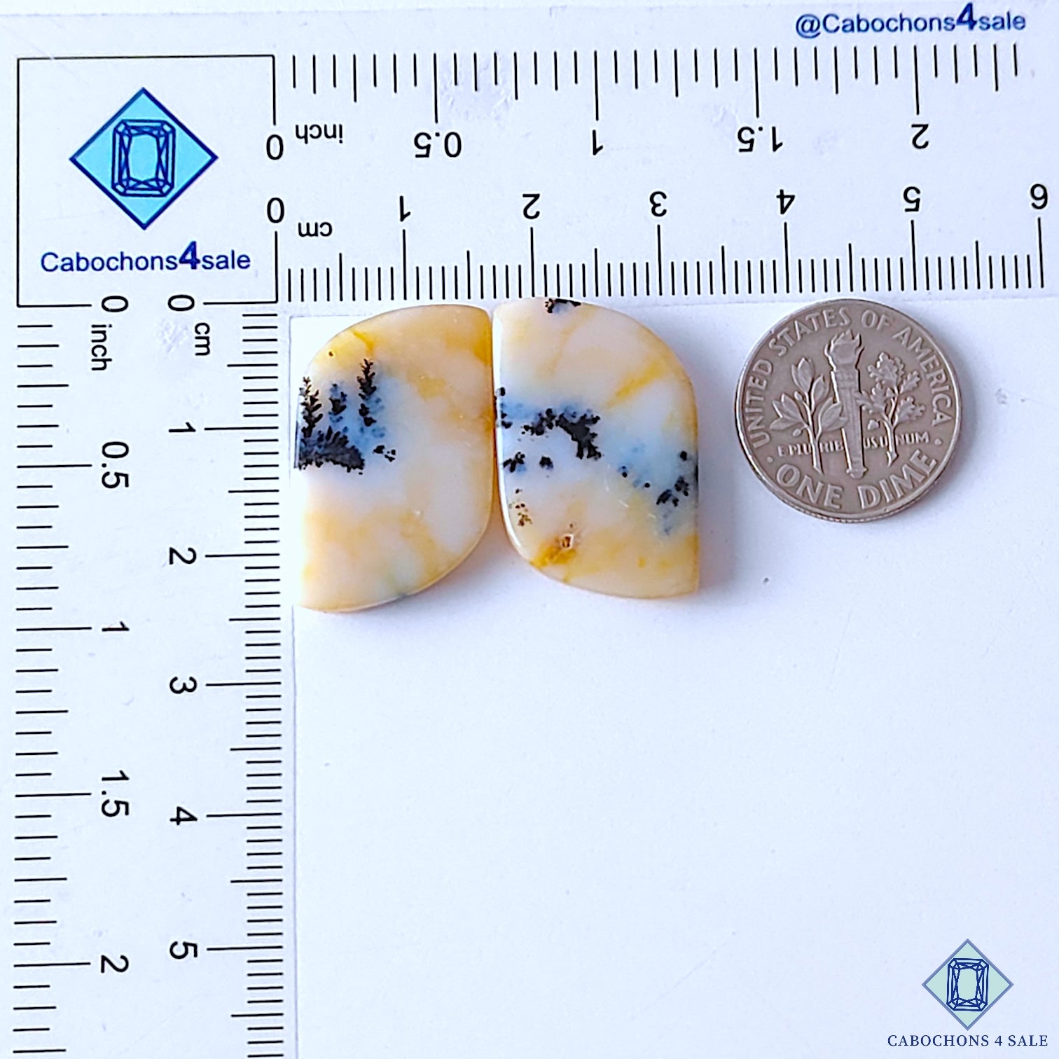Dendritic Opal