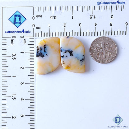 Dendritic Opal
