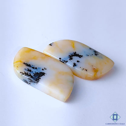 Dendritic Opal