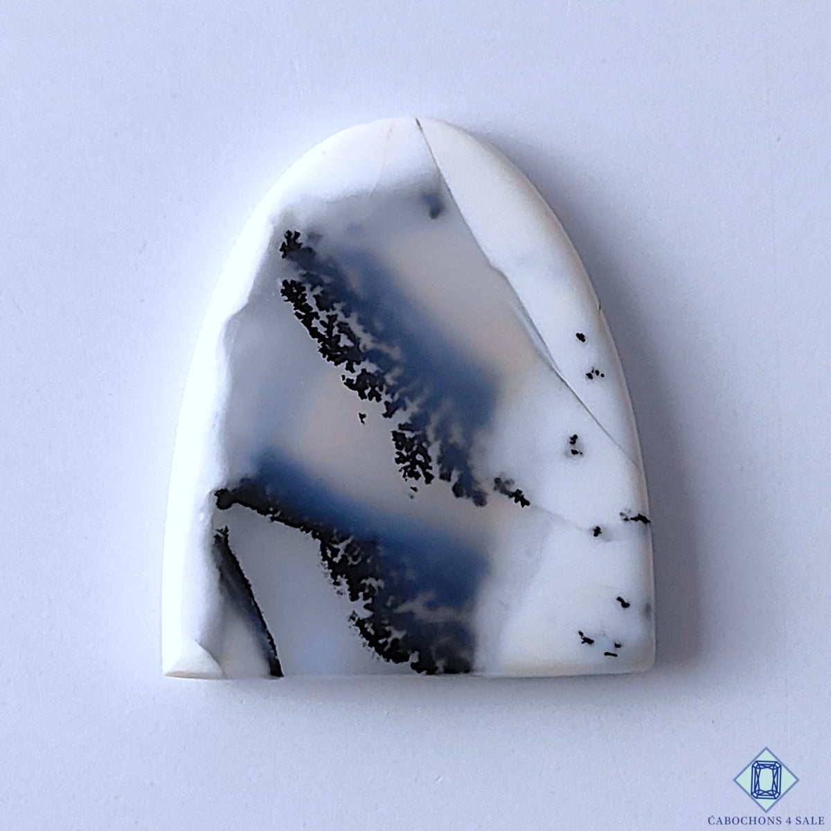 Dendritic Opal
