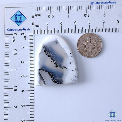 0-Dendritic_Opal-C4sw22932-2-Fancy-Grey-mm-Cabochons-Opaque-0
