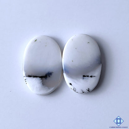 Dendritic Opal