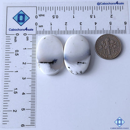 Dendritic Opal