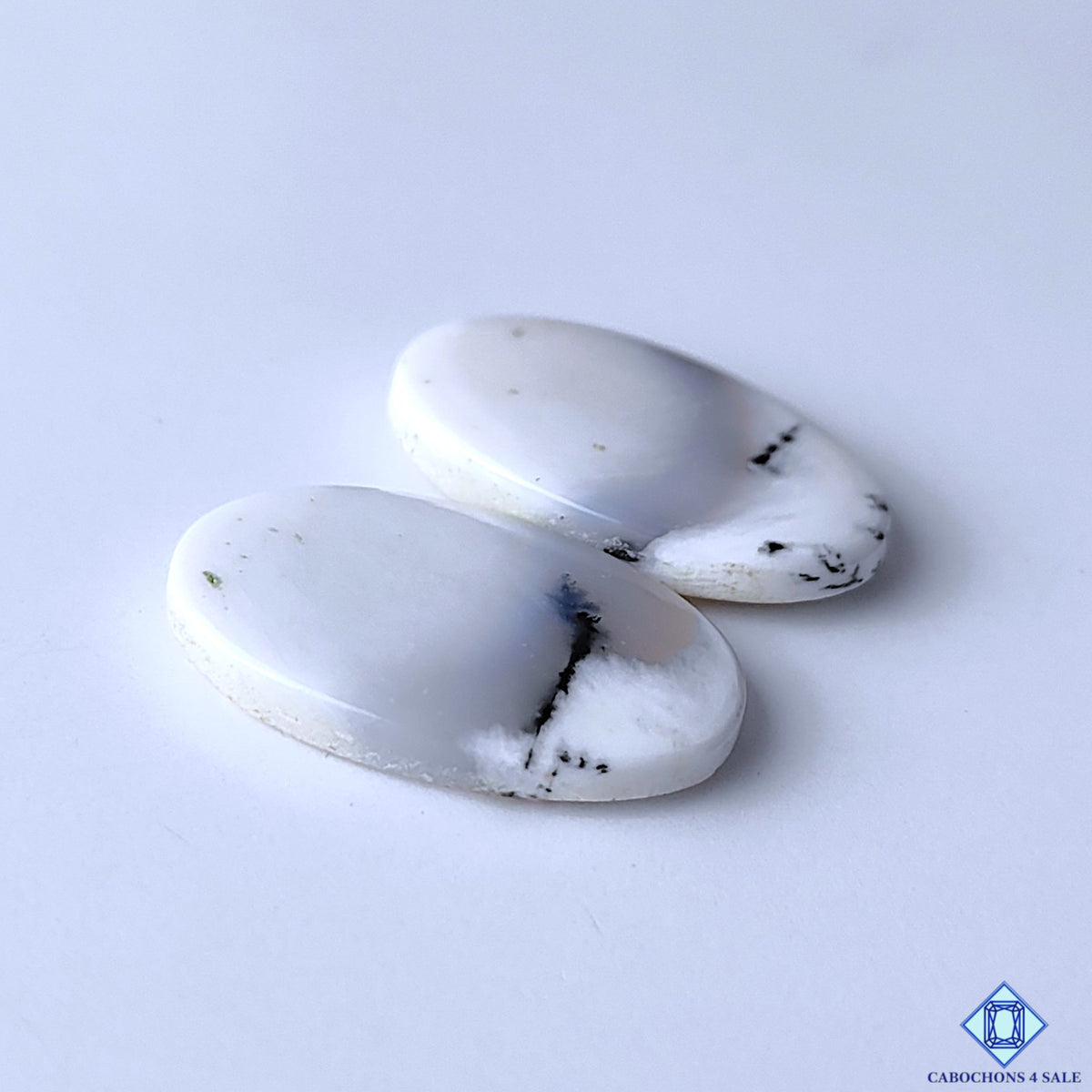 Dendritic Opal