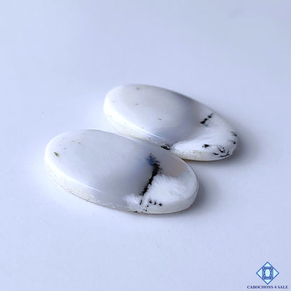 Dendritic Opal