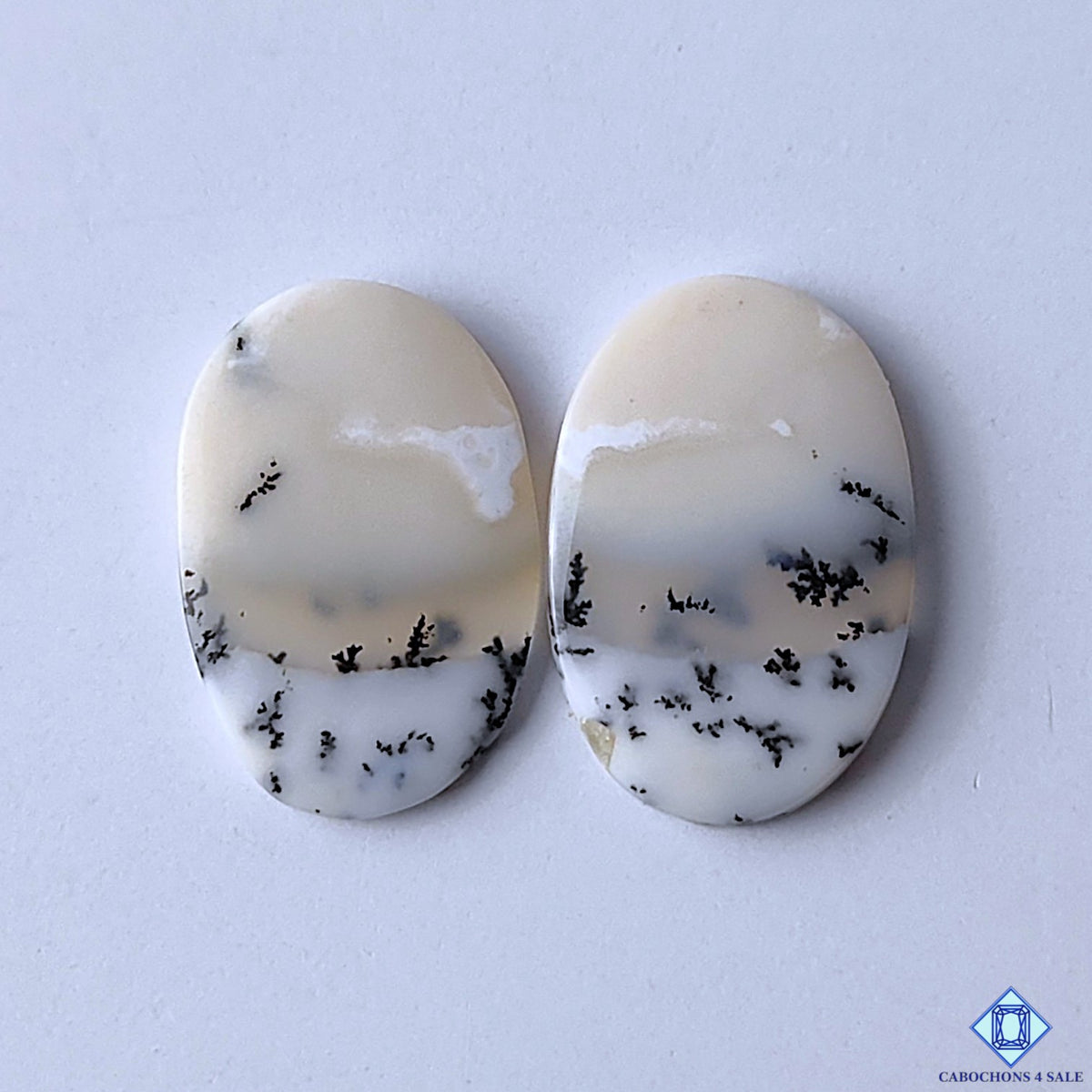 Dendritic Opal