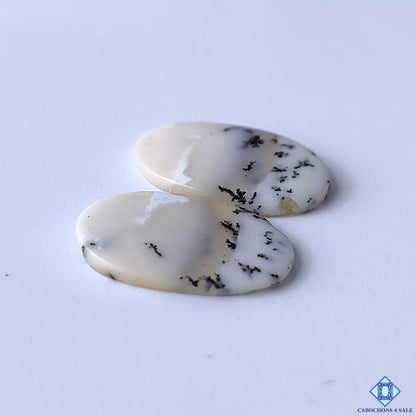 Dendritic Opal