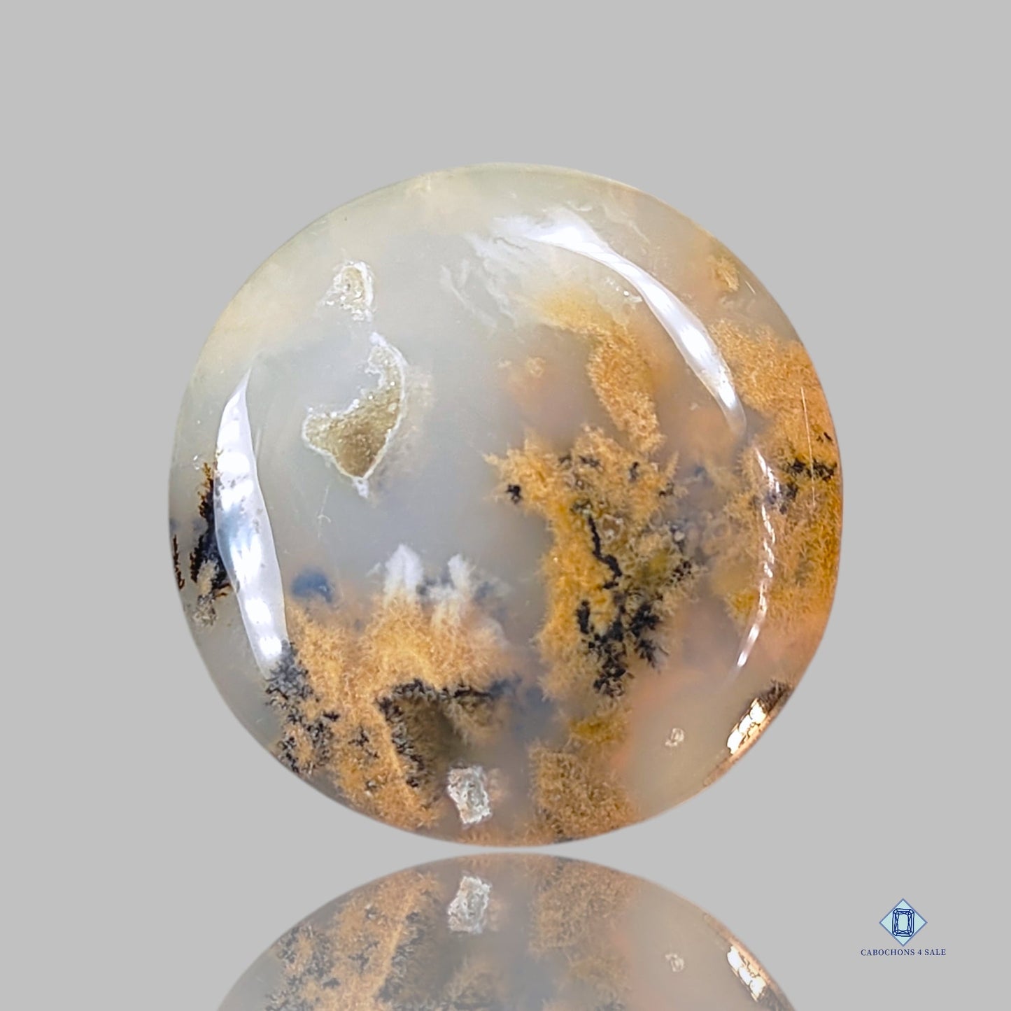 Dendritic Tiger Agate