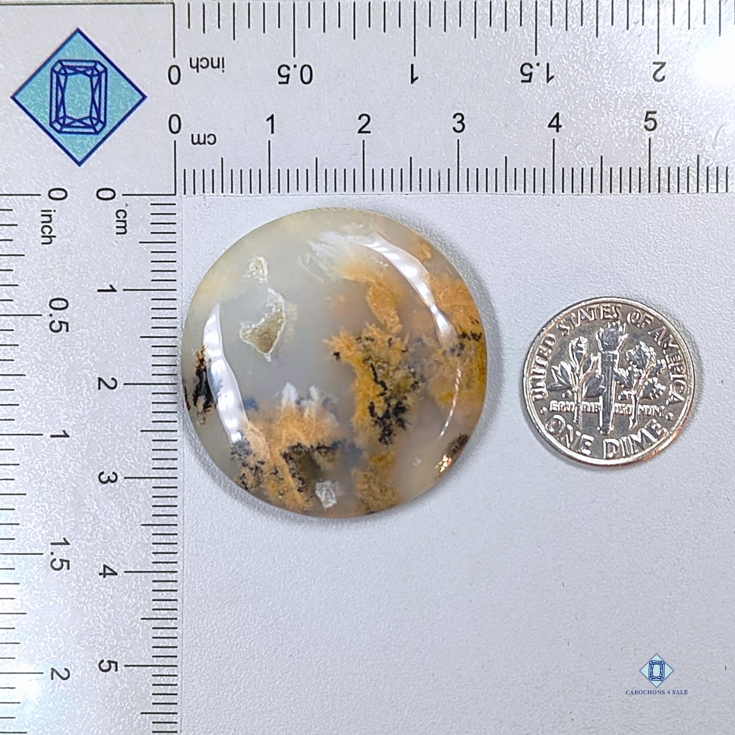 Dendritic Tiger Agate Round Cabochons