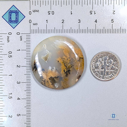 Dendritic Tiger Agate Round Cabochons