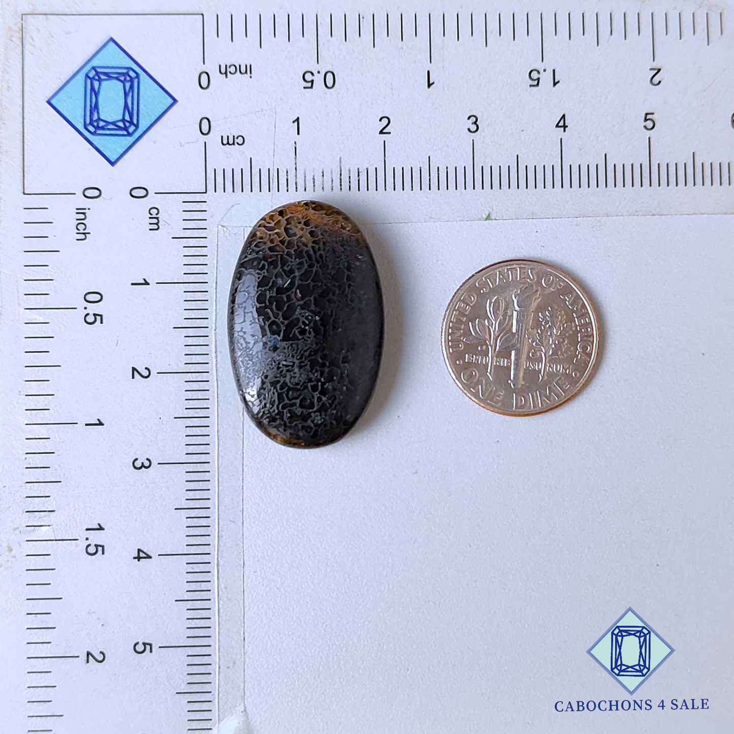 Dinosaur Bone Oval Cabochons