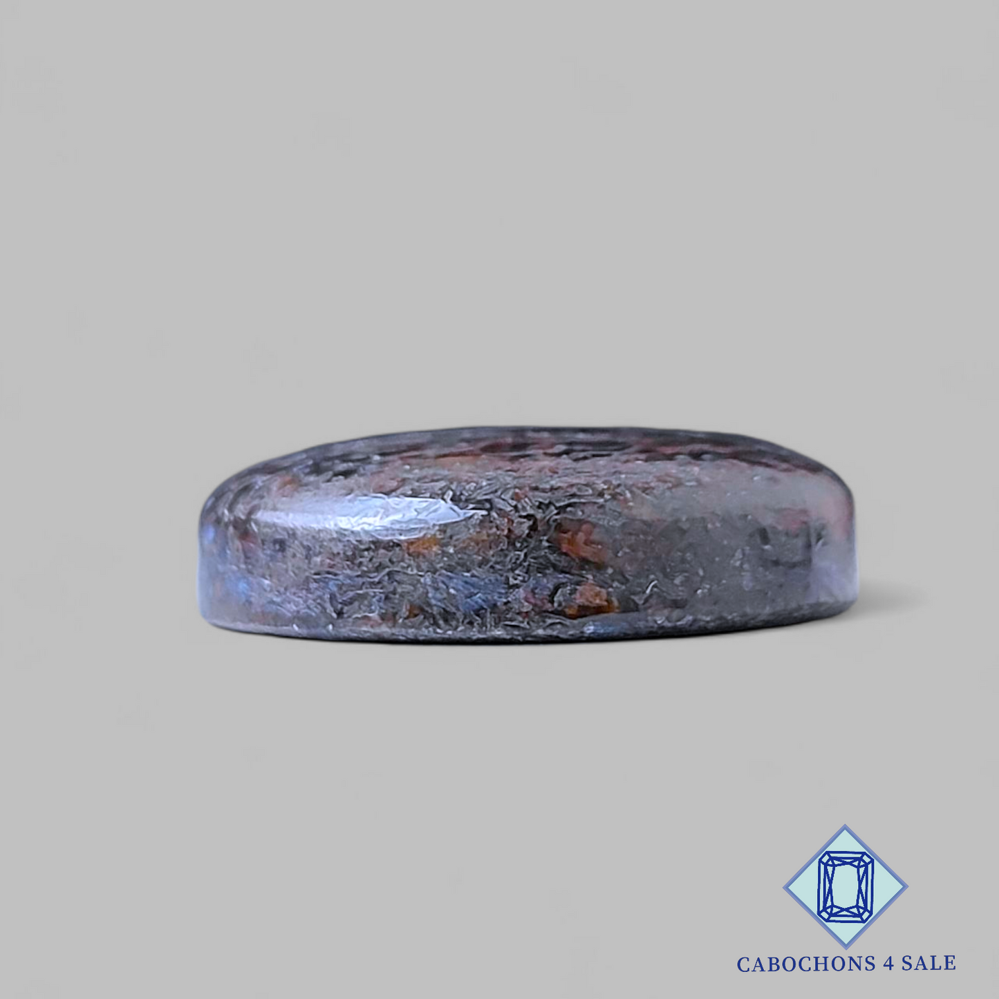 Dinosaur Bone Round Cabochons