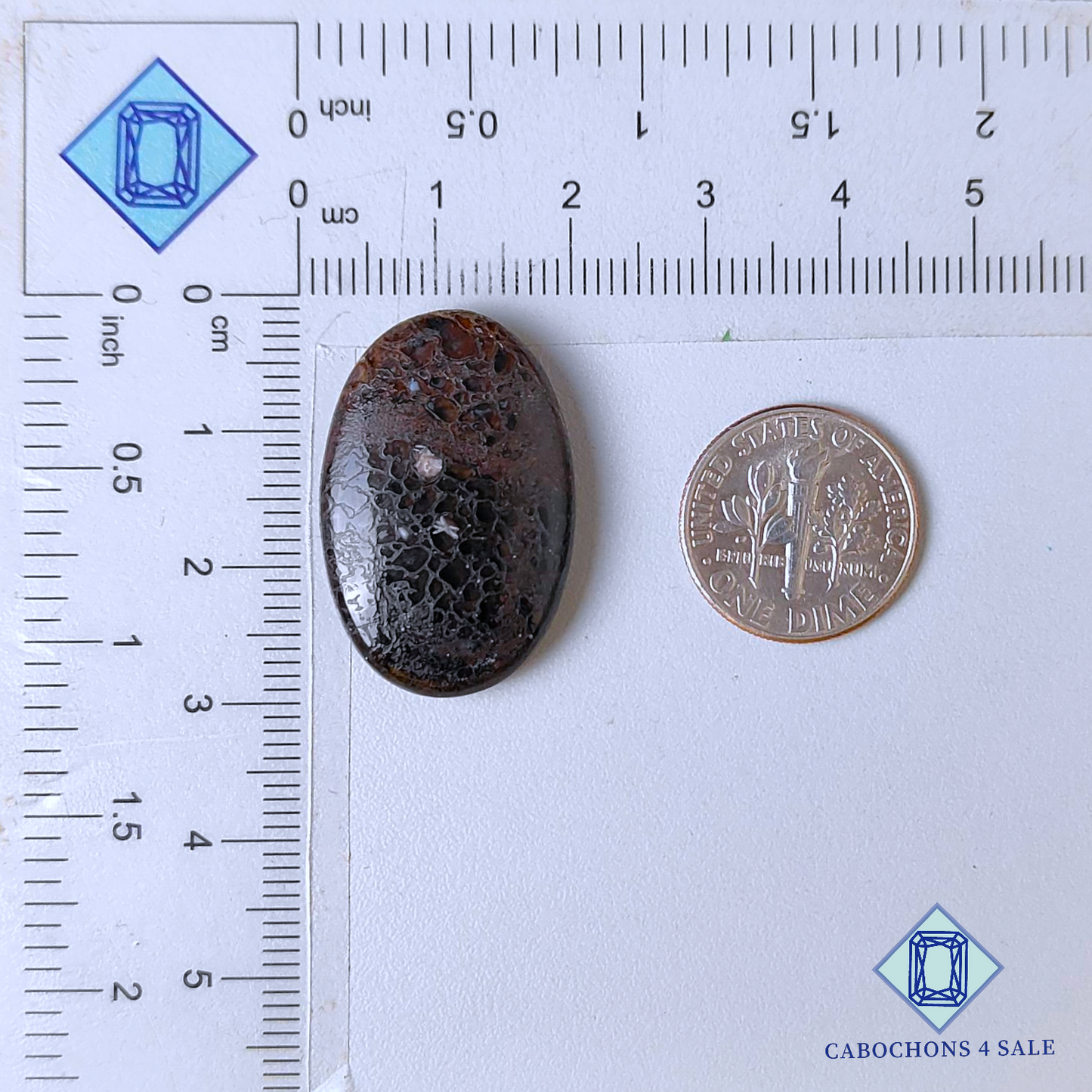 Dinosaur Bone Oval Cabochons