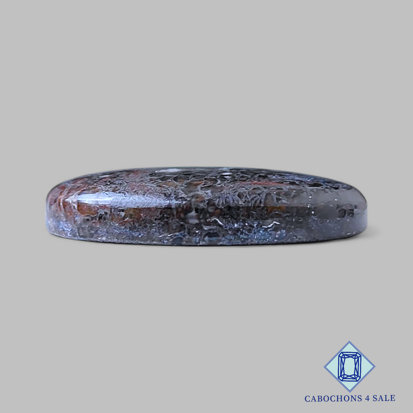 Dinosaur Bone Oval Cabochons