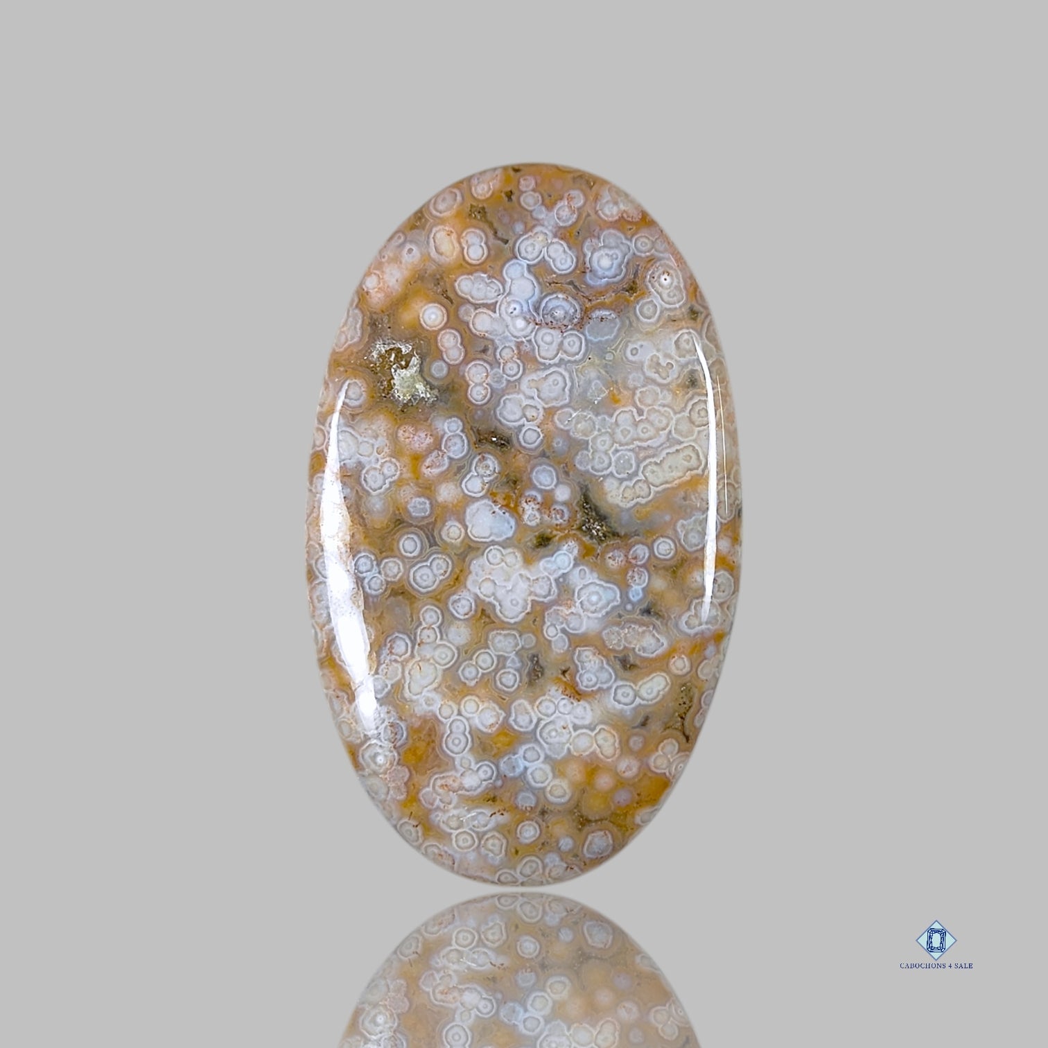 Exquisite Ocean Jasper