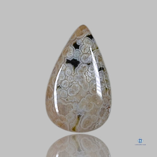 Orbicular Ocean Jasper