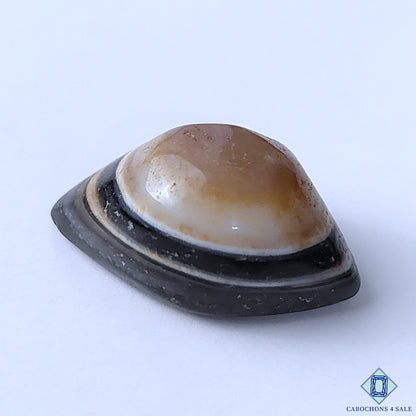 Eye Agate