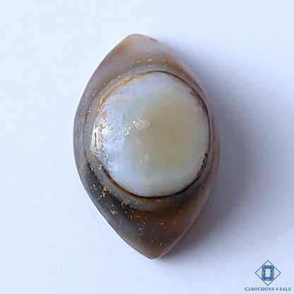 Eye Agate