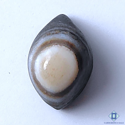 Eye Agate