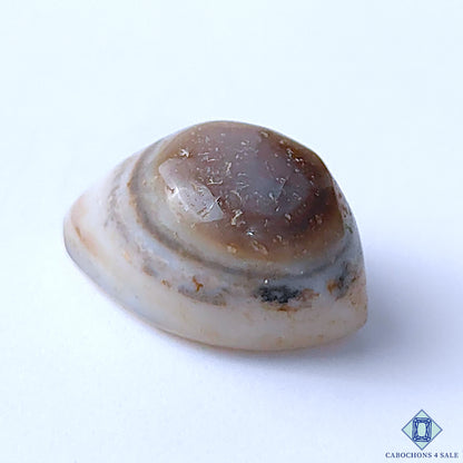 Eye Agate