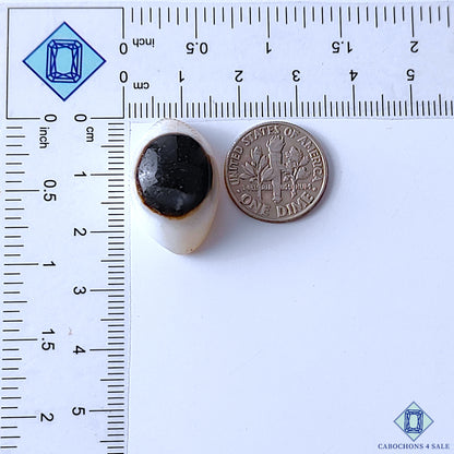 Eye Agate