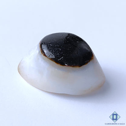 Eye Agate