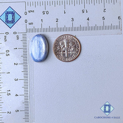 Natural Flashy Blue Kyanite Gemstone Oval Cabochons 18*12*5mm from Brazil  available for sale