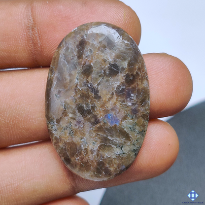 Flashy Larvikite