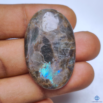 Flashy Larvikite
