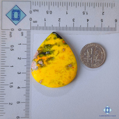 Flower Bumblebee Jasper