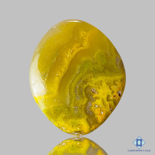 Flower Bumblebee Jasper