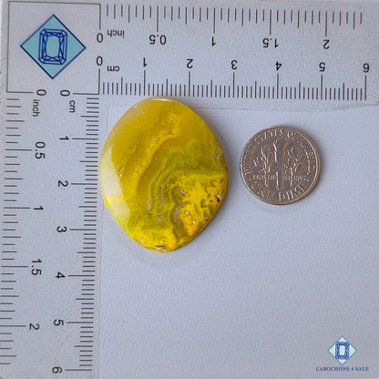 Flower Bumblebee Jasper