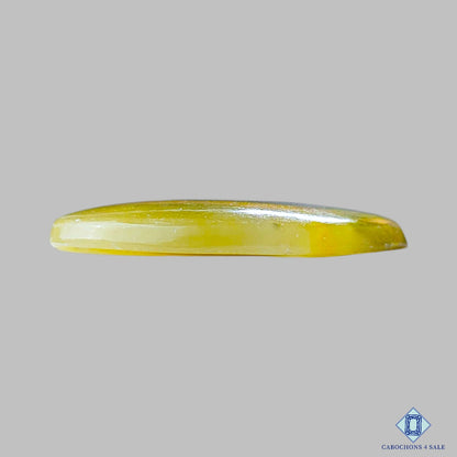 Flower Bumblebee Jasper