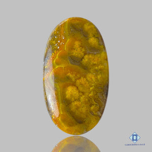 Natural Flower Bumblebee Jasper Gemstone Oval Cabochons 42*24*5mm from Indonesia  available for sale